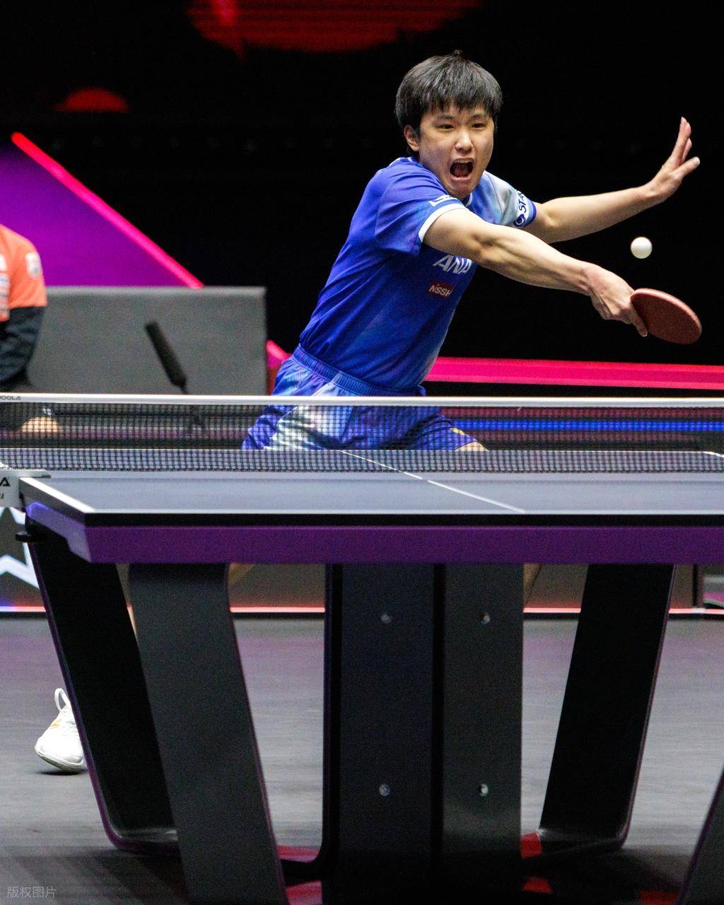 英国选手全力以赴,夺取奖牌成绩 英国选手全力以赴,夺取奖牌成绩