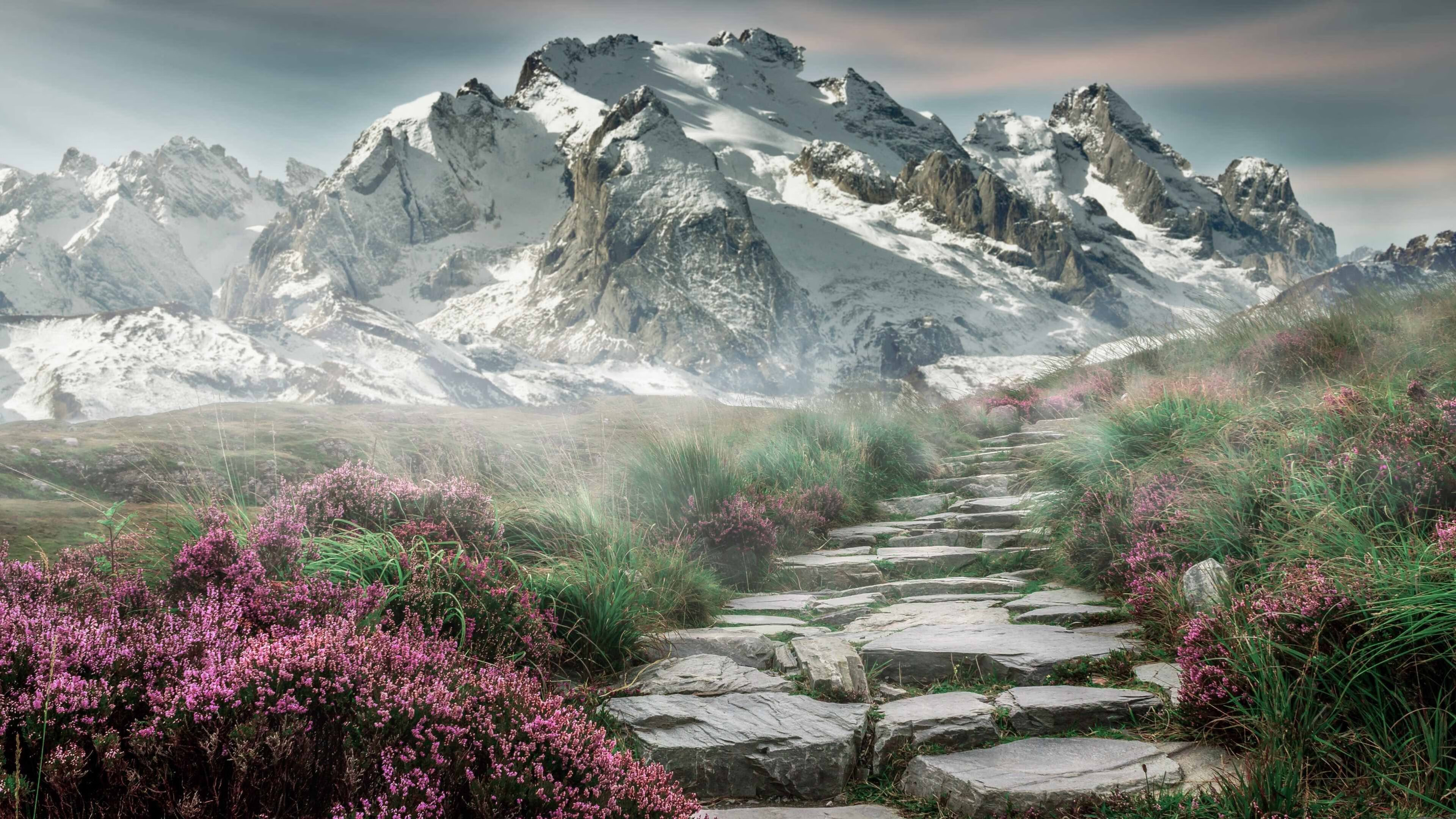 篮球教科书，库里与深圳队的空间革命