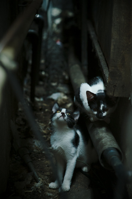 绝杀的艺术，从拉什福德的冠军基因到罗马城下的永恒逆转