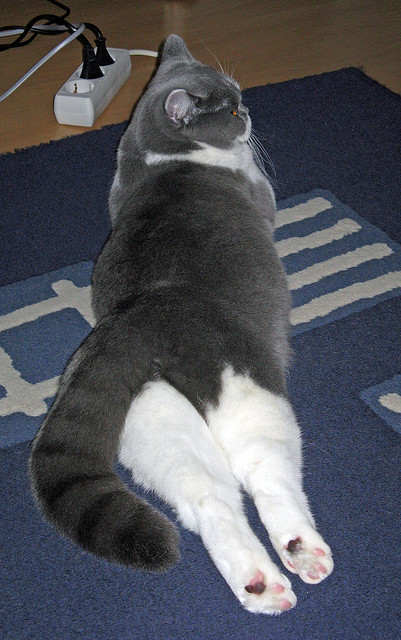 乔治全面爆发撕裂防线，奇才终场前力克76人