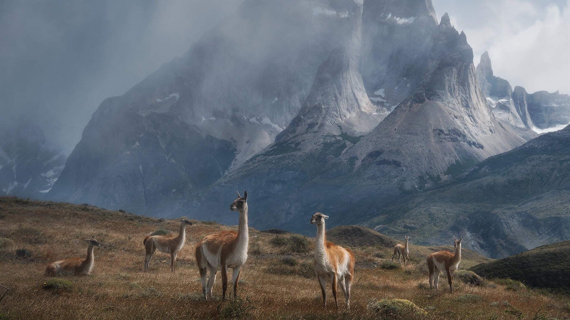 美利坚的绿茵失守,当皇家社会带走美国,梅西戴上关键先生王冠
