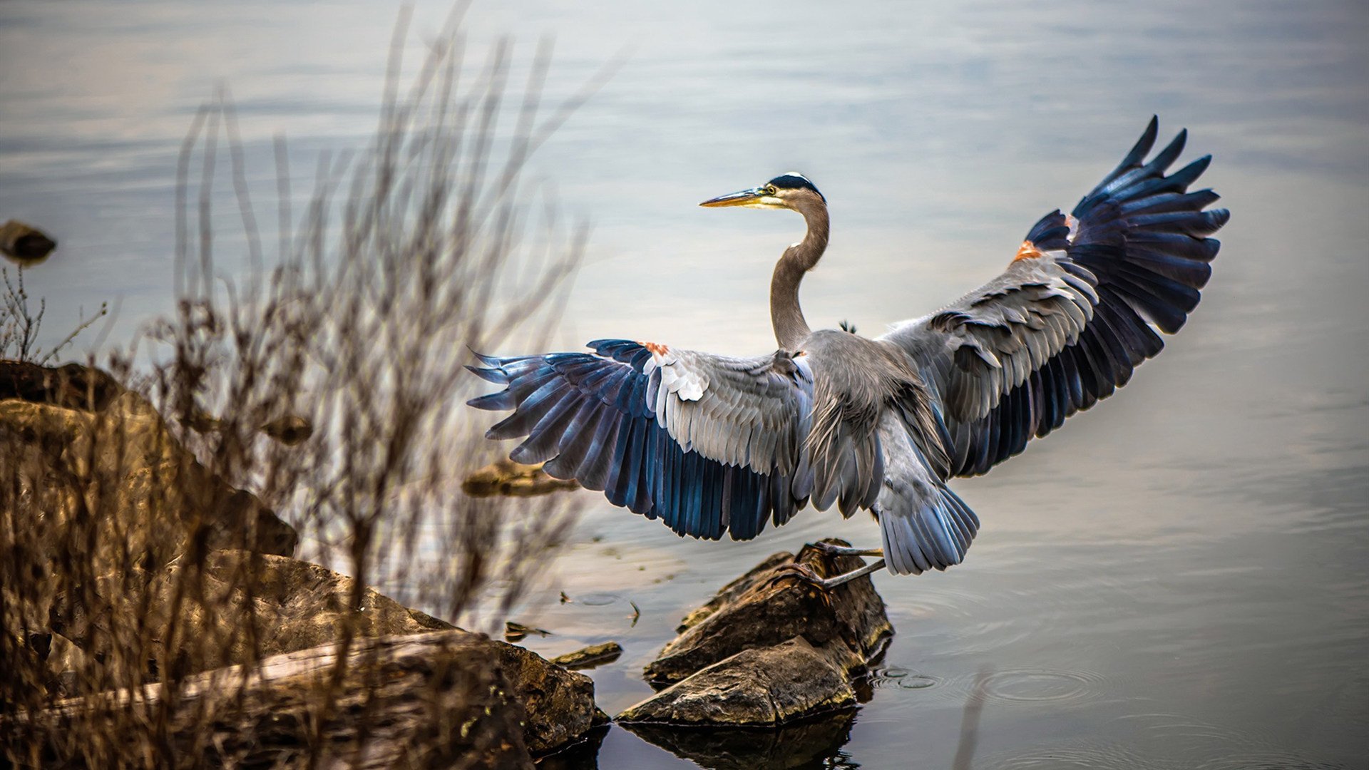 恩佐持续制造杀伤，皇马连续得分压制威尔士，一场战术与实力的碾压