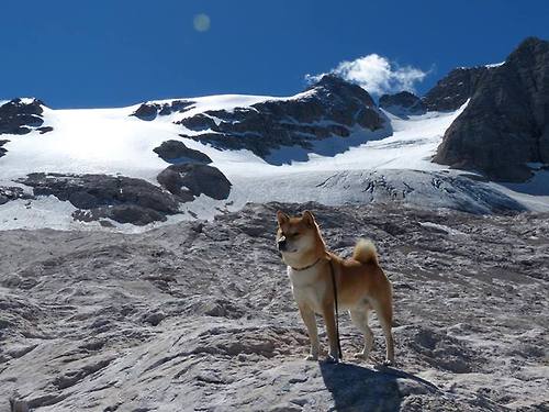 团队篮球与孤胆英雄，雄鹿猛龙之战映照下，东契奇如何定义现代篮球的终极命题？