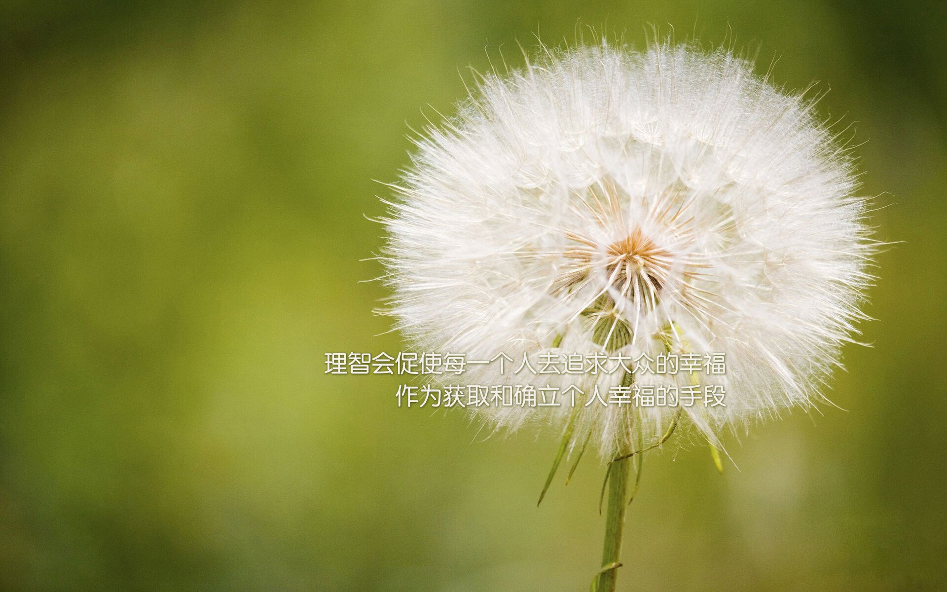 冰川与熔岩，灰熊淘汰赛碾过太阳，约基奇化身关键先生铸就经典