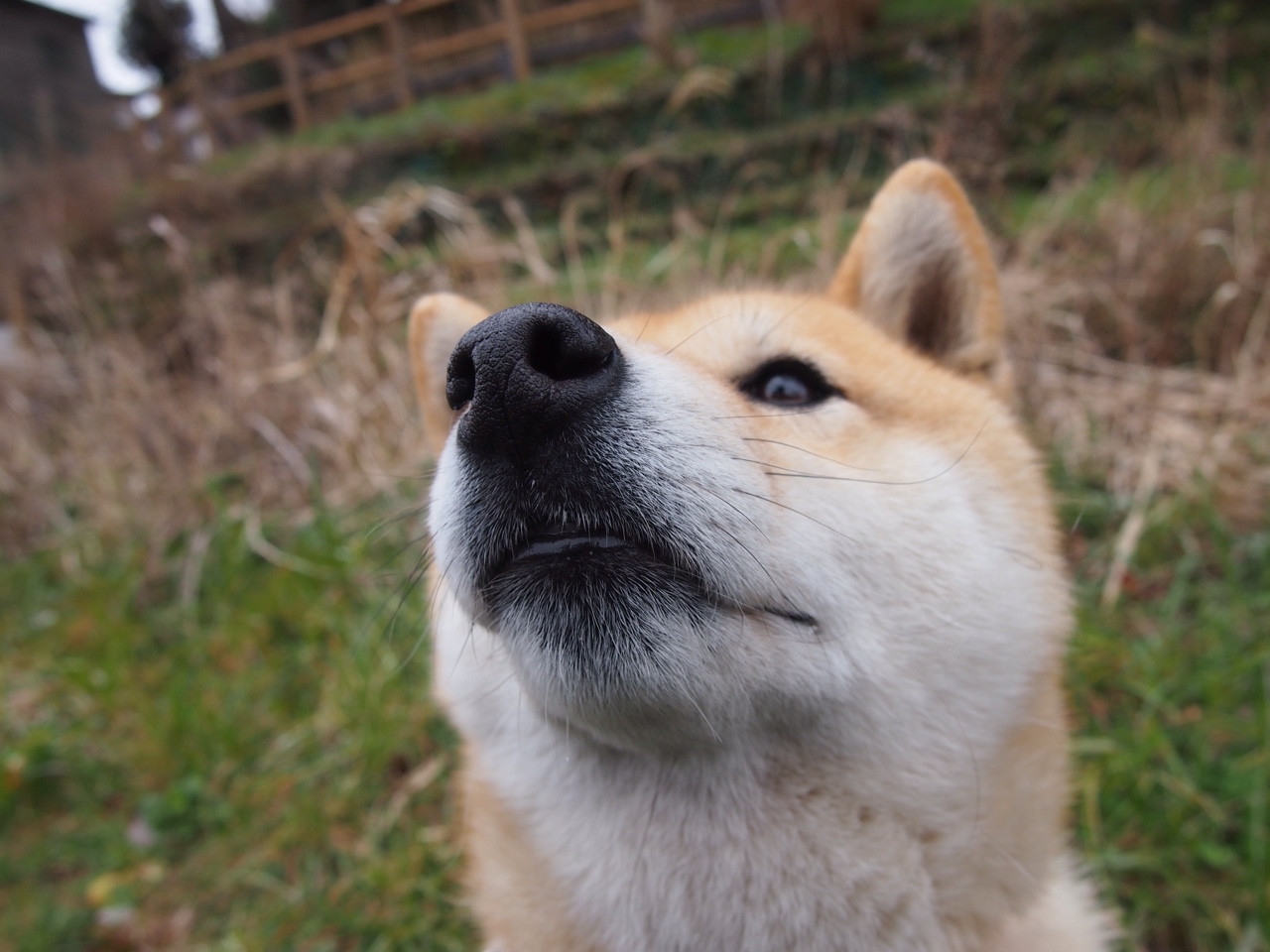 塞维利亚终结卡塔尔神话，世界排名焦点战引爆格局之变