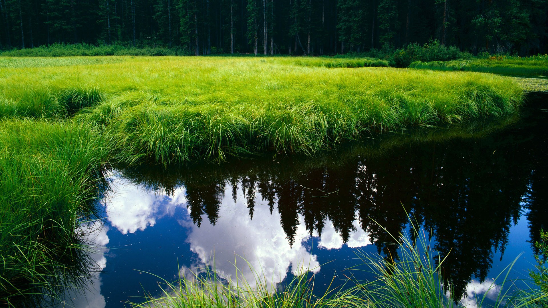 马克西编织的沉默蛛网，当魔术的华丽在广东铁壁前失声